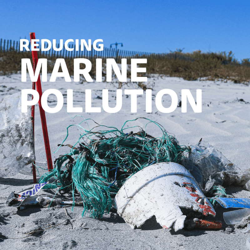 Maxi Micro Step Deluxe Eco Groen